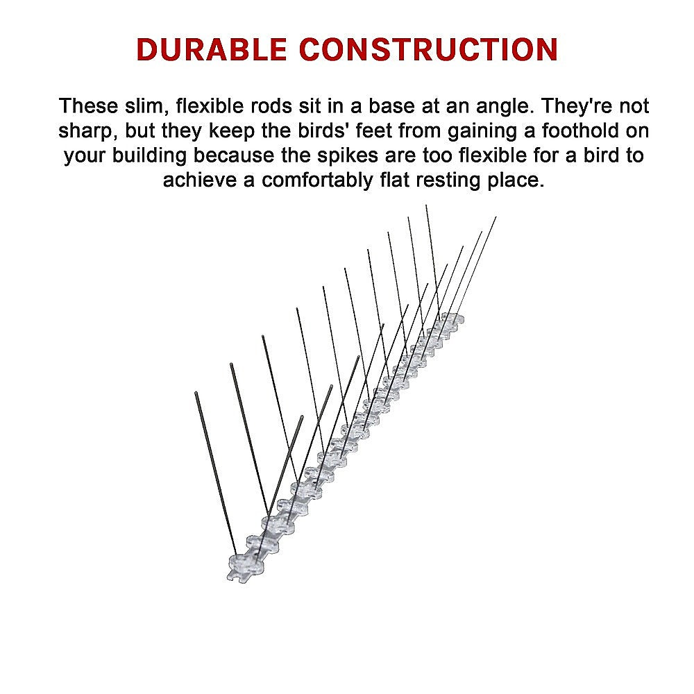 20X 50Cm Bird Spike S304 Wire Spikes Eaves Pigeon Gull Starling 10M