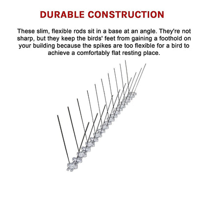 20X 50Cm Bird Spike S304 Wire Spikes Eaves Pigeon Gull Starling 10M