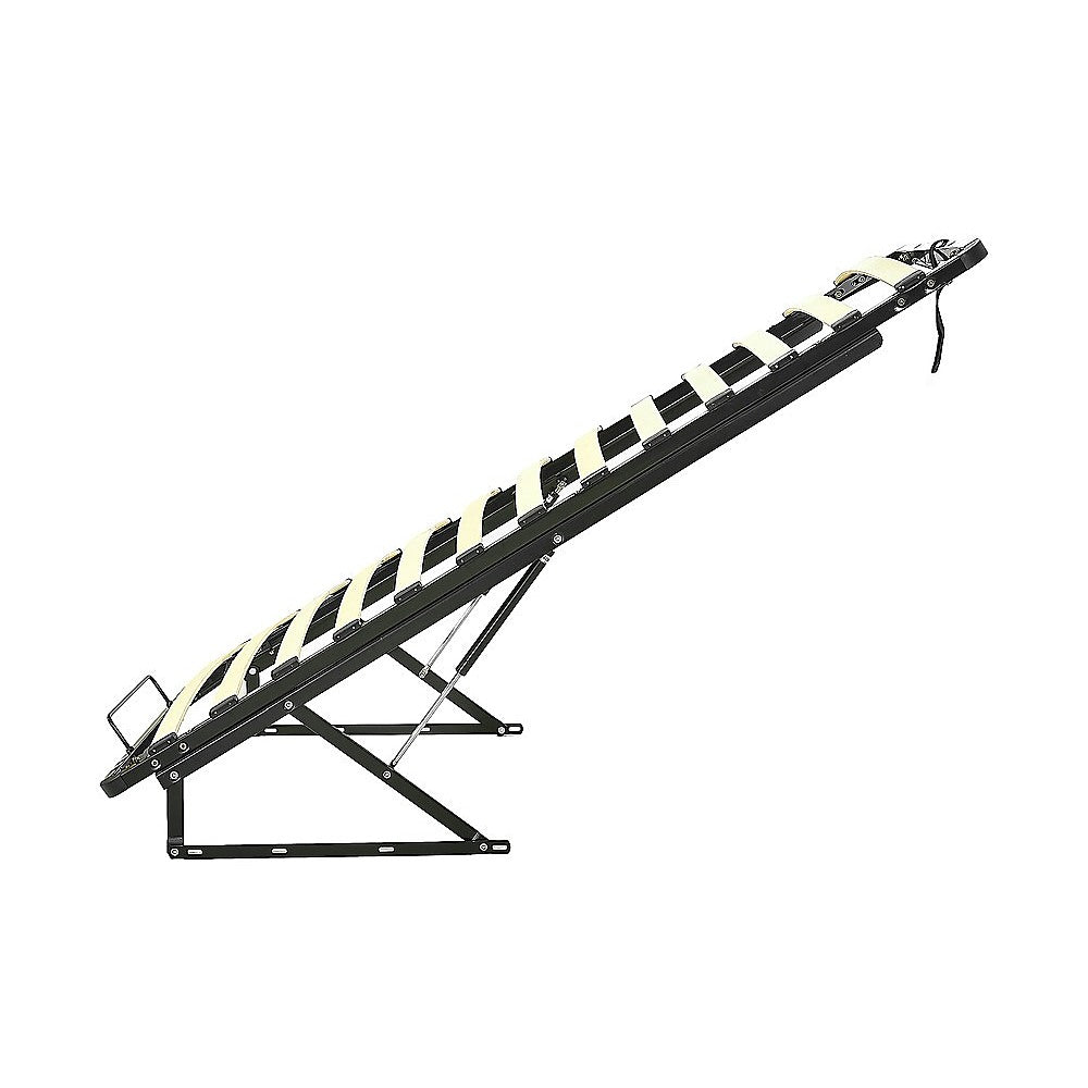 Single Gas Lift Bed Mechanism With Frame Storage Platform & Sofa Bed