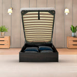 Single Gas Lift Bed Mechanism With Frame Storage Platform & Sofa Bed