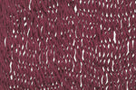 Outdoor Undercover Cotton Hammock Queen Size Maroon