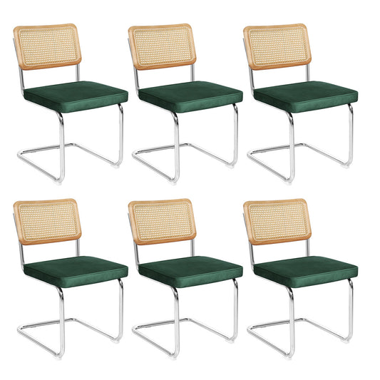 Stylish 6xRattan Chair Dining Chairs  Wood Finish Classic Durable