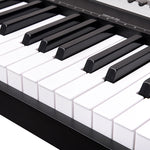 88 Keys Electronic Keyboard Piano with Stand Black