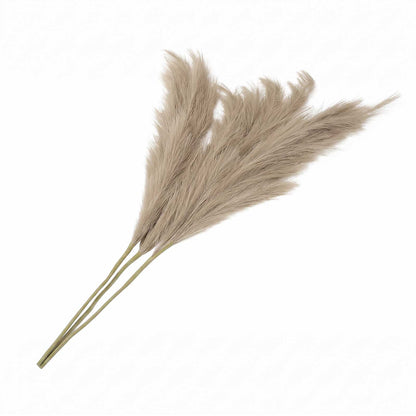 Artificial Pampas Grass Brown Fluffy