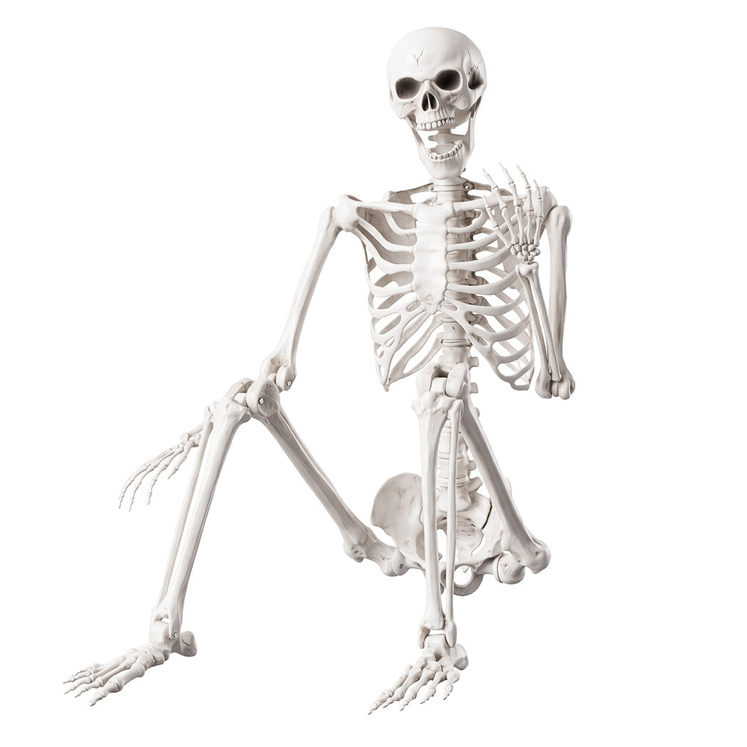 Life Size Skeleton Decoration White 165x36x11cm