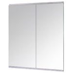 Full Length Gym Mirror Wall Mount 2 Pack | HomeAndLiving
