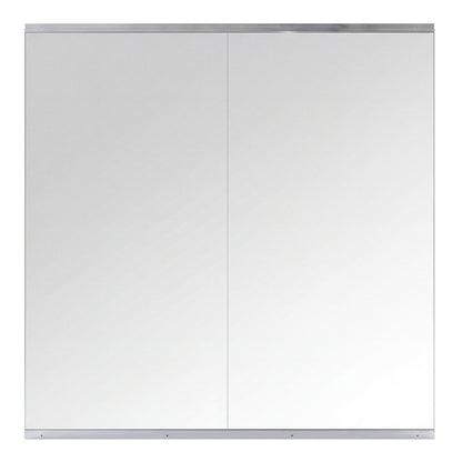 Full Length Gym Mirror Wall Mount 2 Pack | HomeAndLiving
