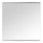 Full Length Gym Mirror Wall Mount 2 Pack | HomeAndLiving
