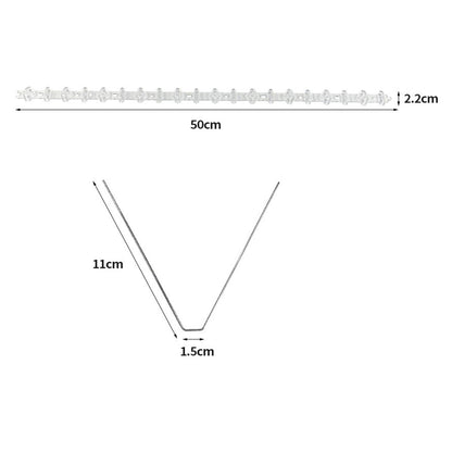 10x 50cm Anti Bird Spikes Pigeon