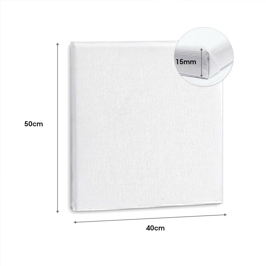 5x Artist Canvas Blank Stretched Canvases-Durable