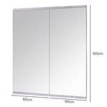 Full Length Gym Mirror Wall Mount 2 Pack | HomeAndLiving