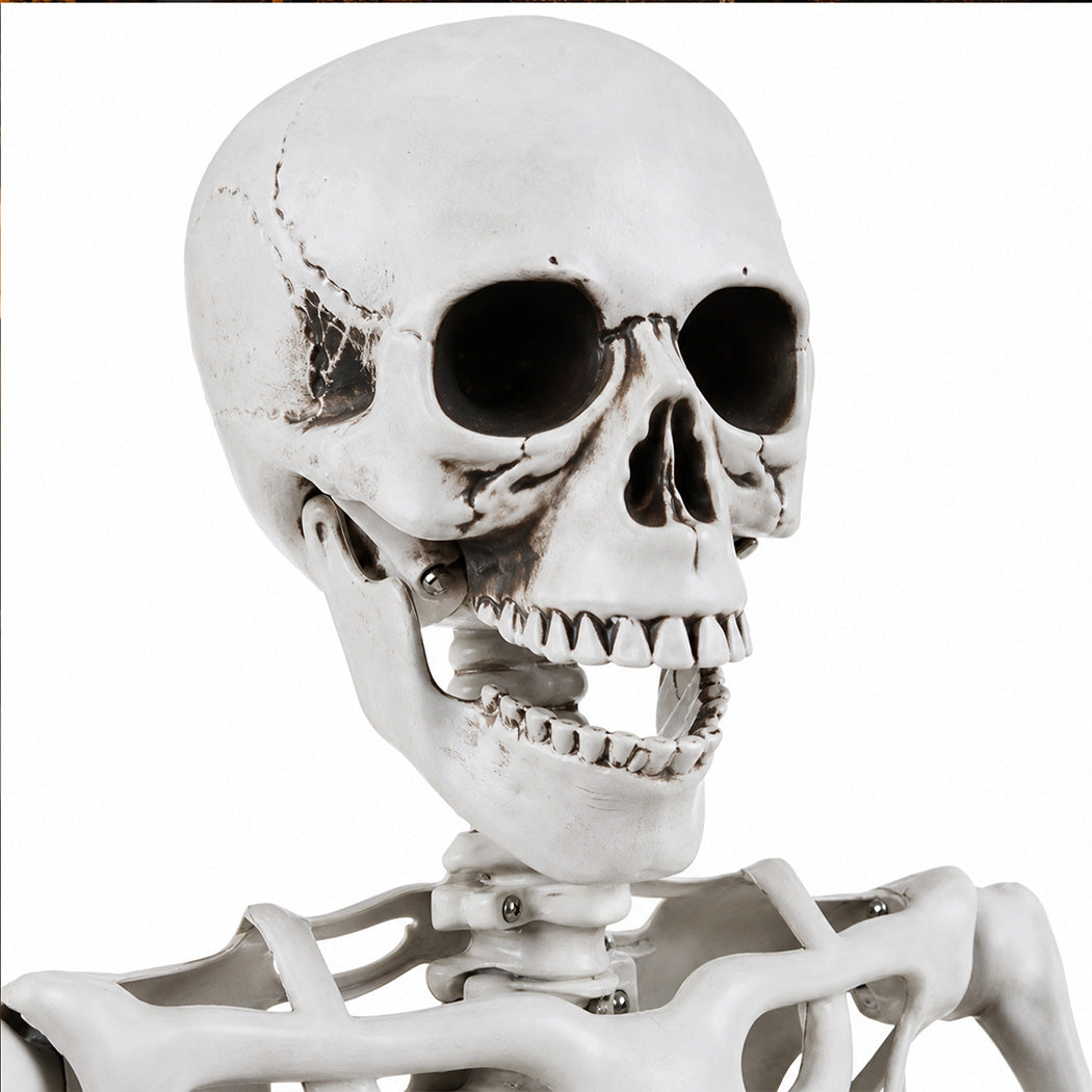 Life Size Skeleton Decoration 169x36x11cm