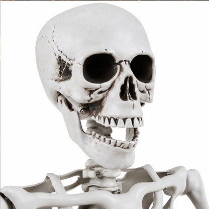 Life Size Skeleton Decoration 169x36x11cm