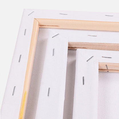 5x Artist Canvas Blank Stretched Canvases-Durable