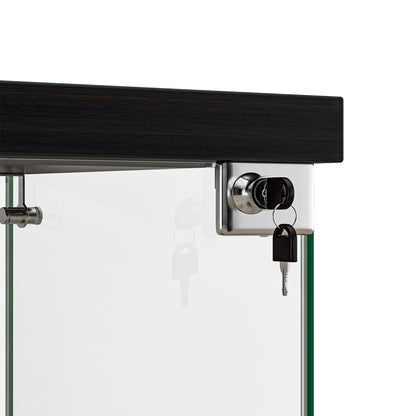 Modern Display Cabinet Collection Storage Tempered Glass 2 Tier With