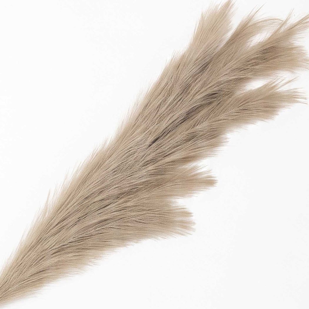 Artificial Pampas Grass Brown Fluffy