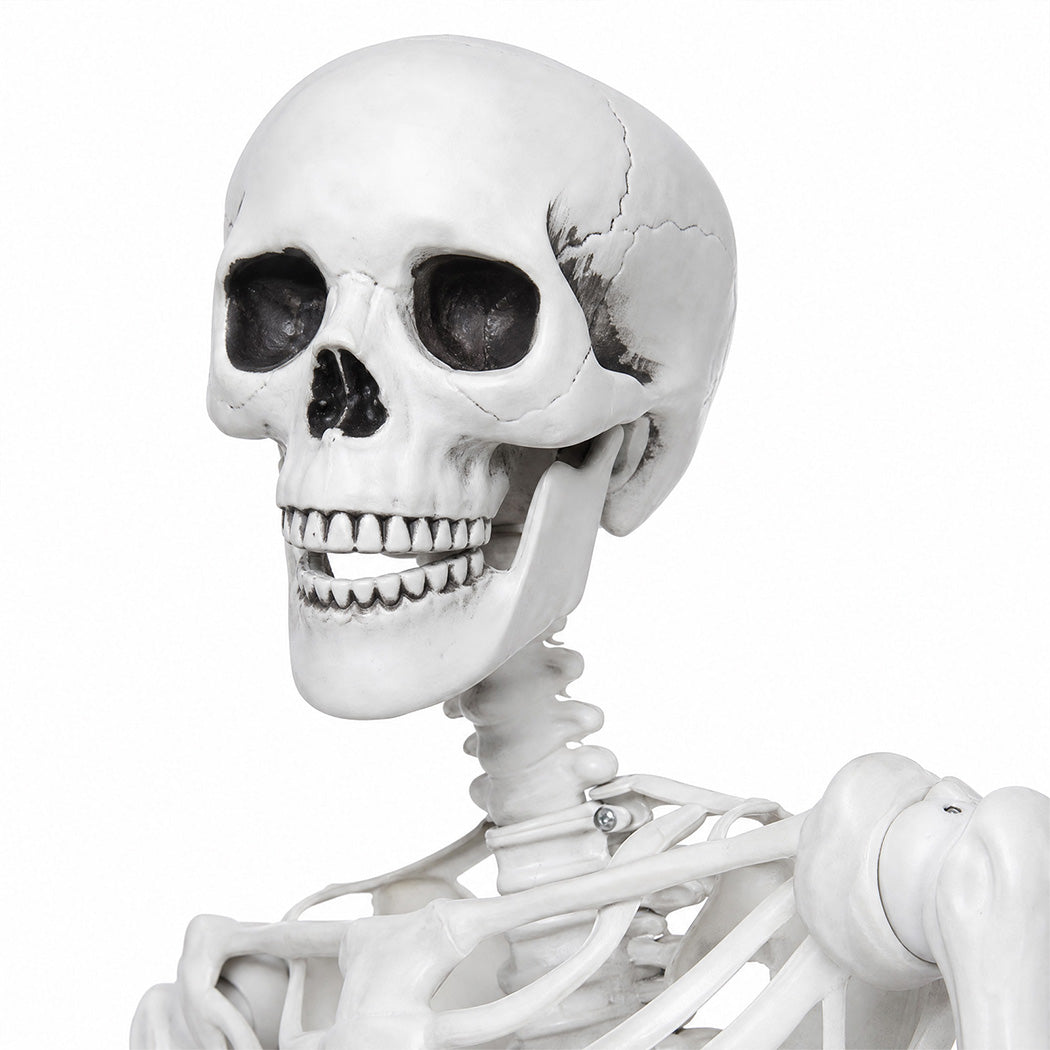 Life Size Skeleton Decoration White 185x36x11cm