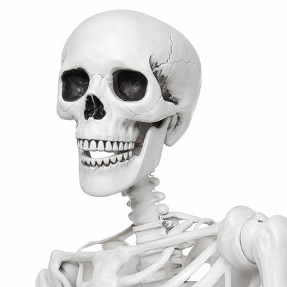 Life Size Skeleton Decoration White 185x36x11cm