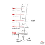 Elegant 5-Tier Ladder Shelf in White