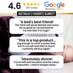 Hill 600-GSM Mink Blanket Queen Double-Sided Soft Plush Faux Throw Wine Sage