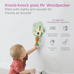 VertiPlay Wall Toy: Busy Woodpecker knocker