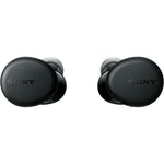 Sony NEW Truly Wireless Headphones (Black)