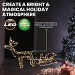 1.7m 3D Reindeer & Sleigh Display Warm White Rope Lights