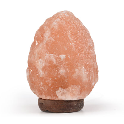 2-3 kg Himalayan Salt Lamp Rock Crystal Natural Light Dimmer Switch Cord Globes