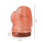 Salt Lamp Globe USB Himalayan Natural Crystal Rock Cord Night Light Lamps Globes