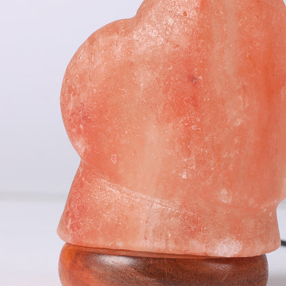 Salt Lamp Globe USB Himalayan Natural Crystal Rock Cord Night Light Lamps Globes