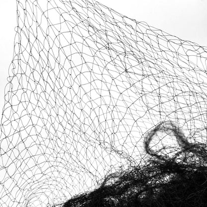 Anti Bird Netting Pest Net 25MM