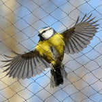 Anti Bird Netting Pest Net 25MM