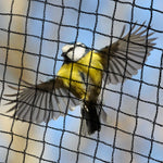 Anti Bird Netting Pest Net Mesh Cover 30GSM