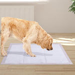 200 Pcs 60x60 cm Pet Puppy Dog Toilet Training Pads Absorbent Meadow Scent