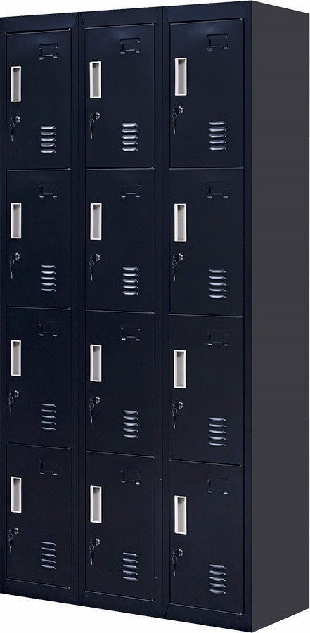 Standard locks 12 Door Locker for Office Gym - Black 
