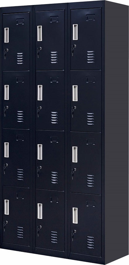 Standard locks 12 Door Locker for Office Gym - Black 
