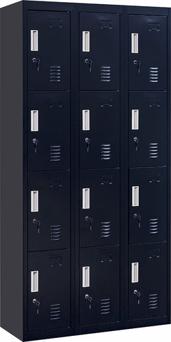 Standard locks 12 Door Locker for Office Gym - Black 
