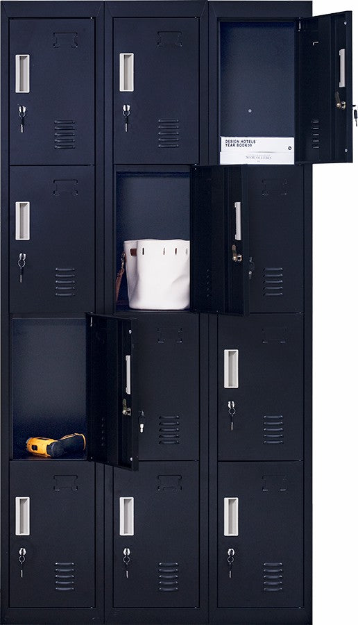 Standard locks 12 Door Locker for Office Gym - Black 
