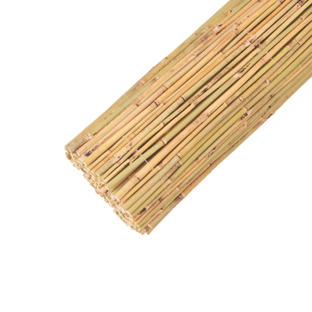 Bamboo Fence 300x150 cm