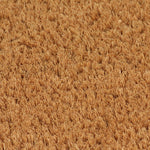 Doormat Coir 17 mm-Natural