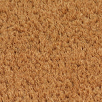 Doormats 2 pcs 24 mm (Coir Natural)