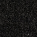Doormats 2 pcs Coir 17 mm Black