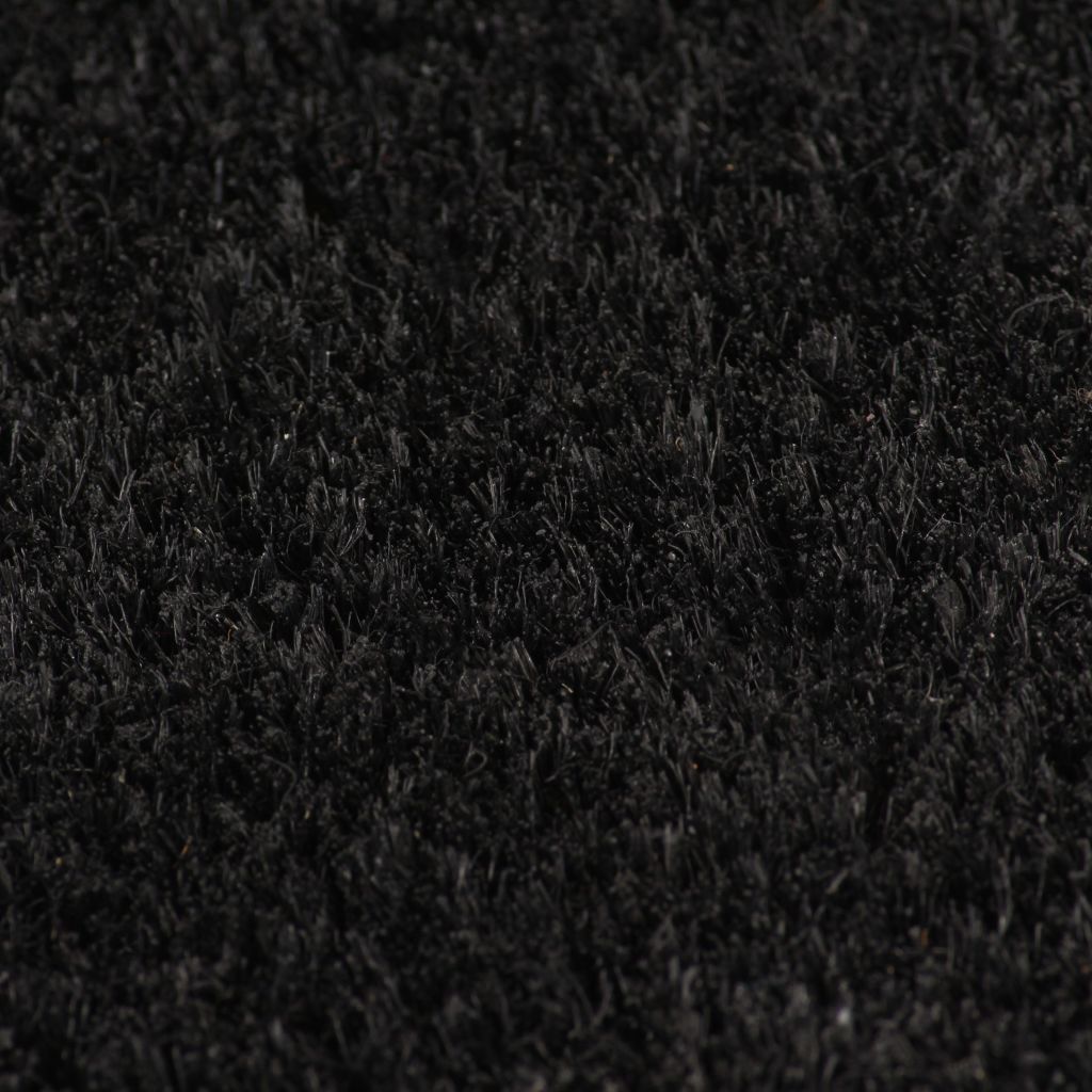 Doormat Coir 24 mm 100x100 cm Black