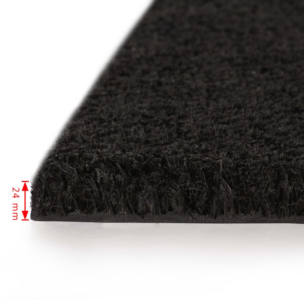 Doormat Coir 24 mm 100x100 cm Black