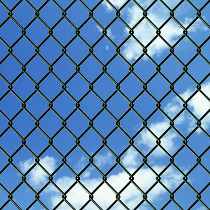 Chain Link Fence Galvanised Steel 0.8x15 m Green