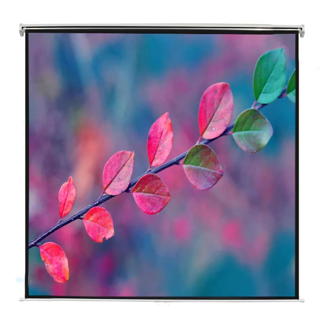 Manual Projection Screen 160 x 90 cm Matt White 16:9 Wall Ceiling Mount