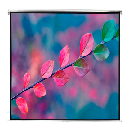 Manual Projection Screen 160 x 90 cm Matt White 16:9 Wall Ceiling Mount