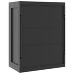 Outdoor Storage Cabinet Black