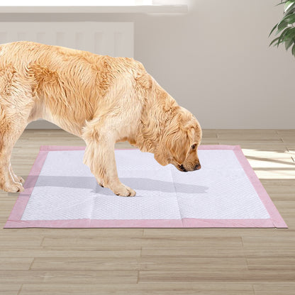 100 Pcs 60x60 cm Pet Puppy Toilet Training Pads Absorbent Lavender Scent