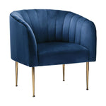 Armchair Lounge Chair Accent Chairs Velvet Armchairs Sofa Couches Blue